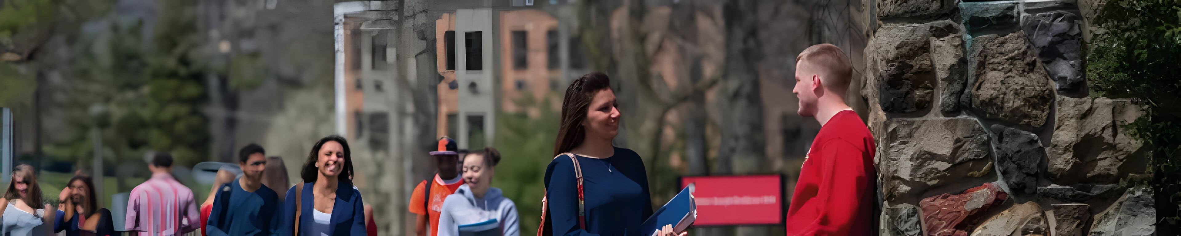 Explore Our Packages